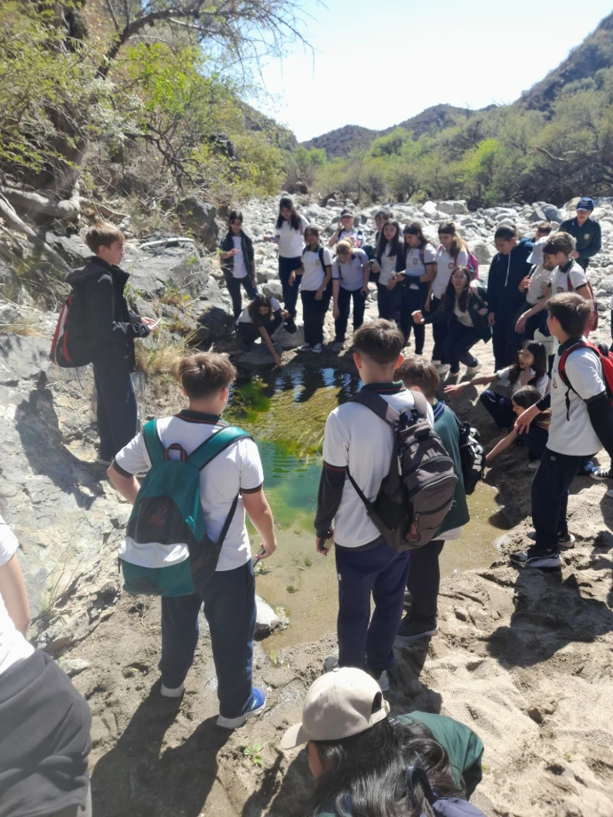 Escuela de Raíces Antiguas de la Tierra | Arbol del Sur ONG
