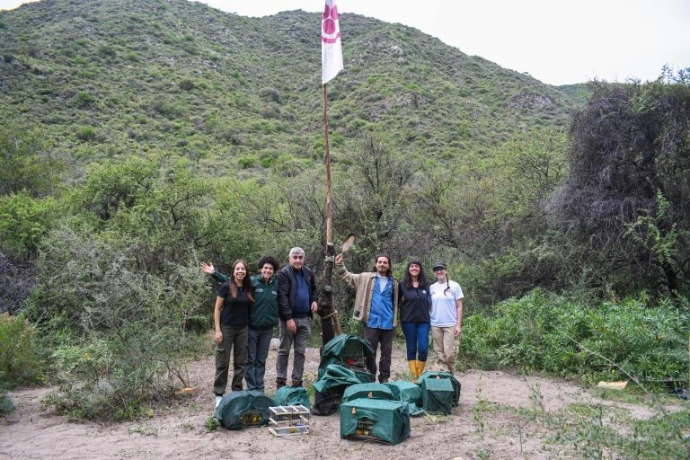 Árbol del Sur | Conservación y Educación en San Luis