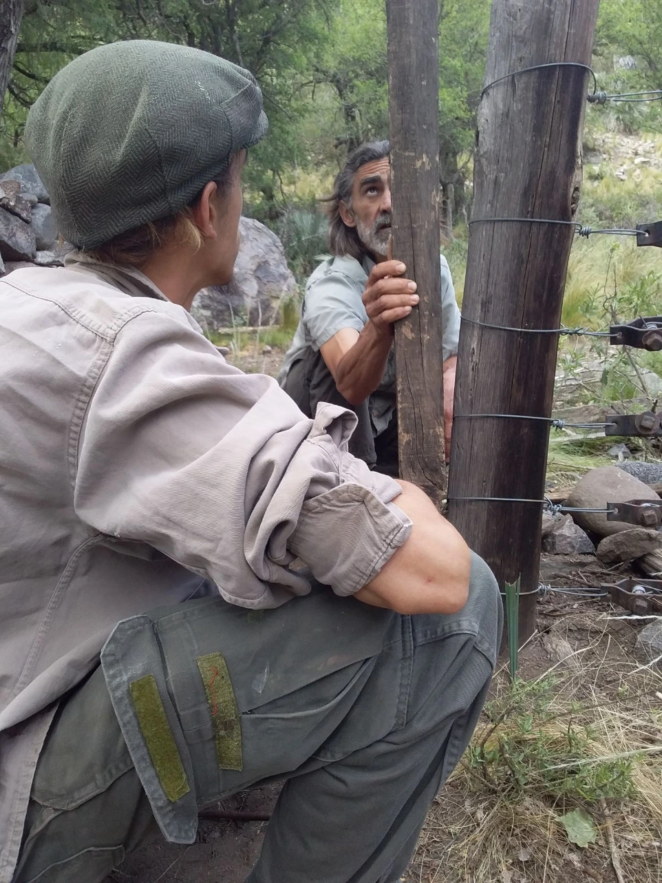 Árbol del Sur | Conservación y Educación en San Luis