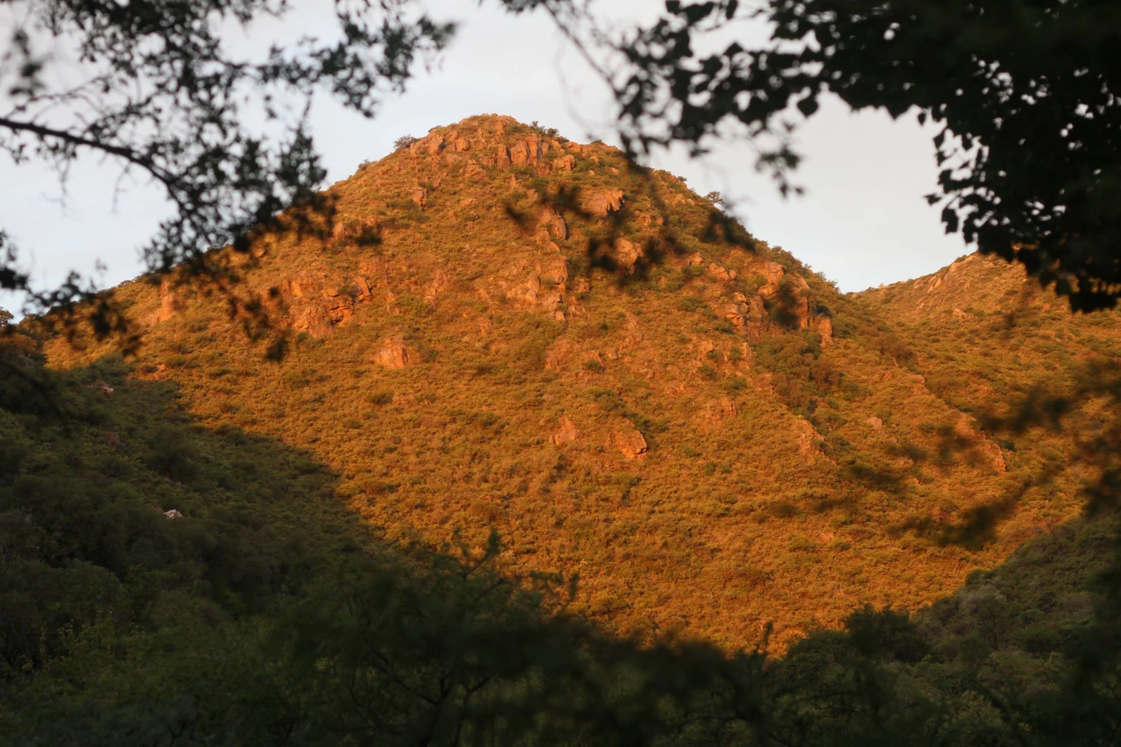 Reserva Natural Quebrada del Palmar | San Luis, Argentina